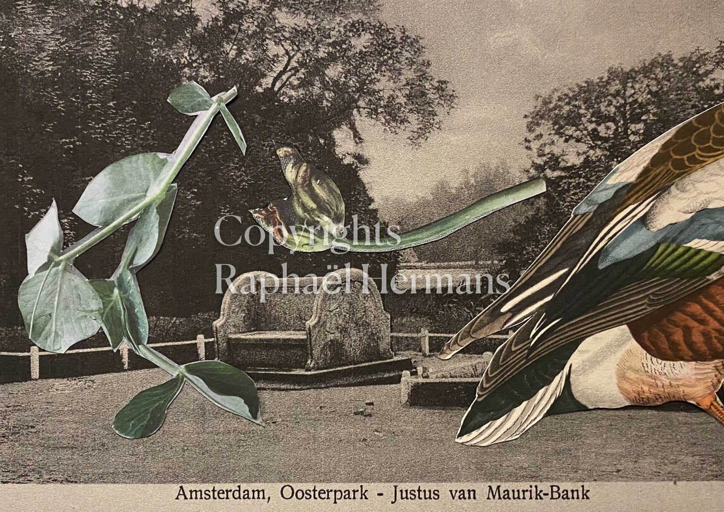 Check Mate van Raphaël Hermans